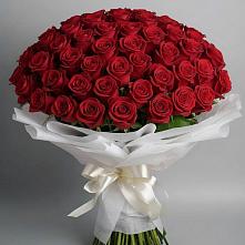 Букет 101 Красная роза Блэк Мэджик #REPLACE_PRED# Гальчино