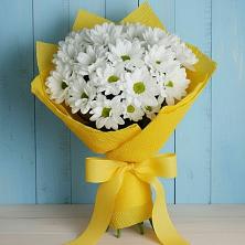 Букет цветов из:  Хризантемы в Гальчино