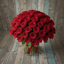 Букет 55 Красных роз Фридом #REPLACE_PRED# Гальчино