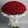 Букет 101 Красная роза Блэк Мэджик в Гальчино