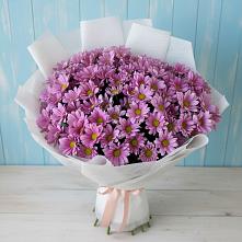 Букет цветов из:  Хризантемы в Гальчино