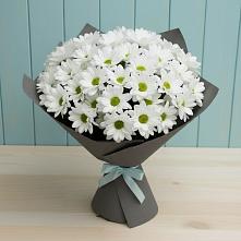 Букет цветов из:  Хризантемы в Гальчино