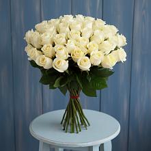 Букет 51 Белая роза Эдлесс Лав в Гальчино