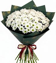 Букет цветов из:  Хризантемы в Гальчино