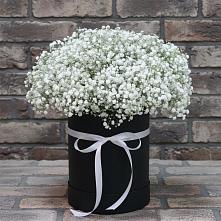 Цветочная композиция из Гипсофила в шляпной коробке в Гальчино