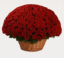 Премиум букет из: Розы в Гальчино