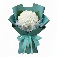 Букет цветов из:  Гортензия в Гальчино